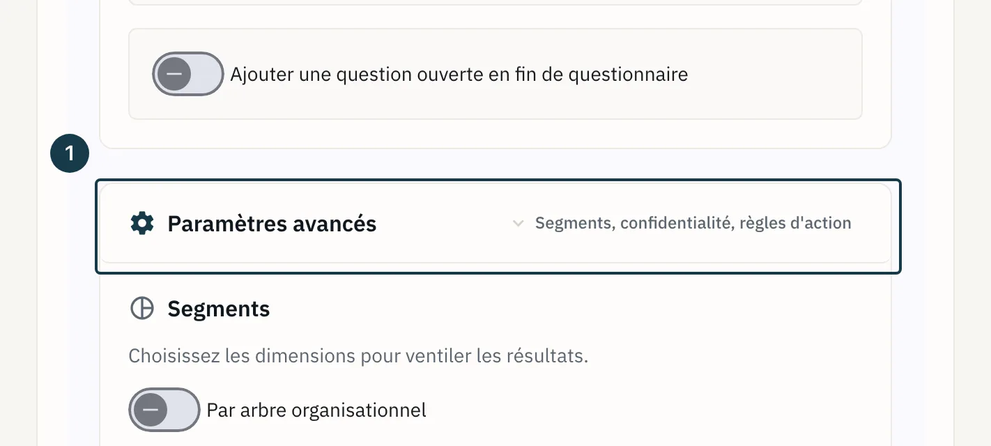 Écran d'un modèle de campagne&nbsp;: le panneau «&nbsp;Paramètres avancés&nbsp;» déplié