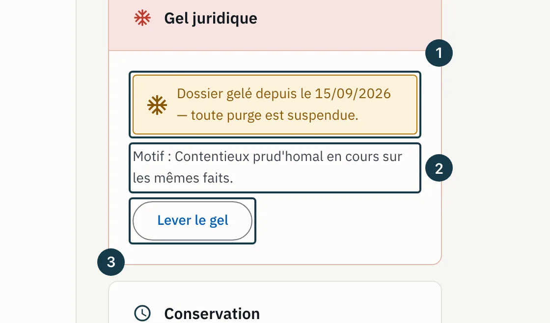 Écran d'un dossier : le panneau après la pose du gel